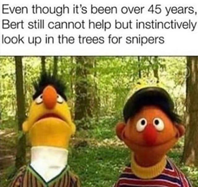 Even though its been over 45 years Bert still cannot help but instinctively look up in the trees for snipers