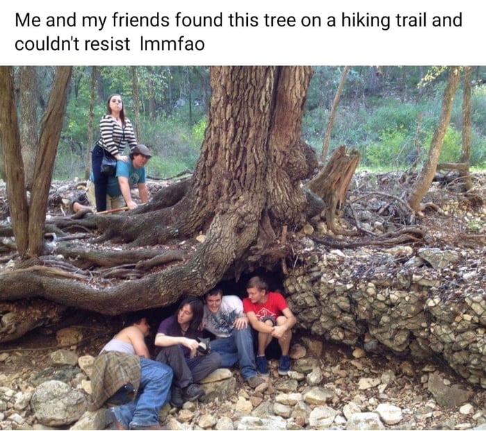 Me and my friends found this tree on a hiking trail and couldnt resist Immfao