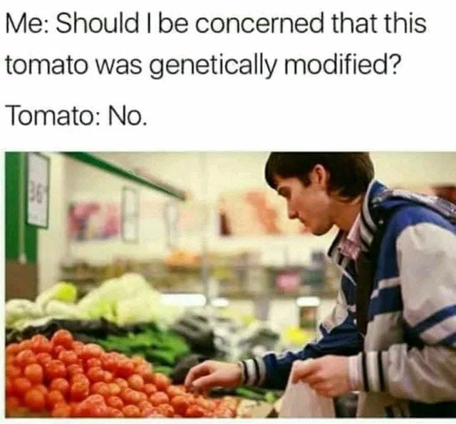 Me Should be concerned that this tomato was genetically modified Tomato No