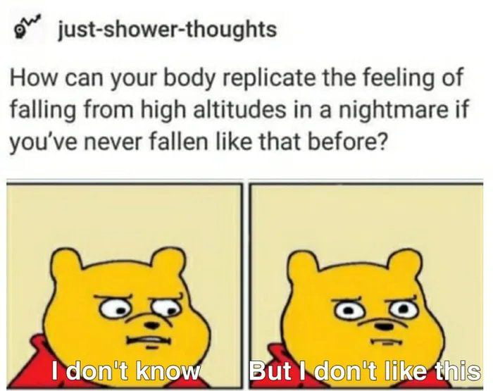 just shower thoughts How can your body replicate the feeling of falling from high altitudes in a nightmare if youve never fallen like that before