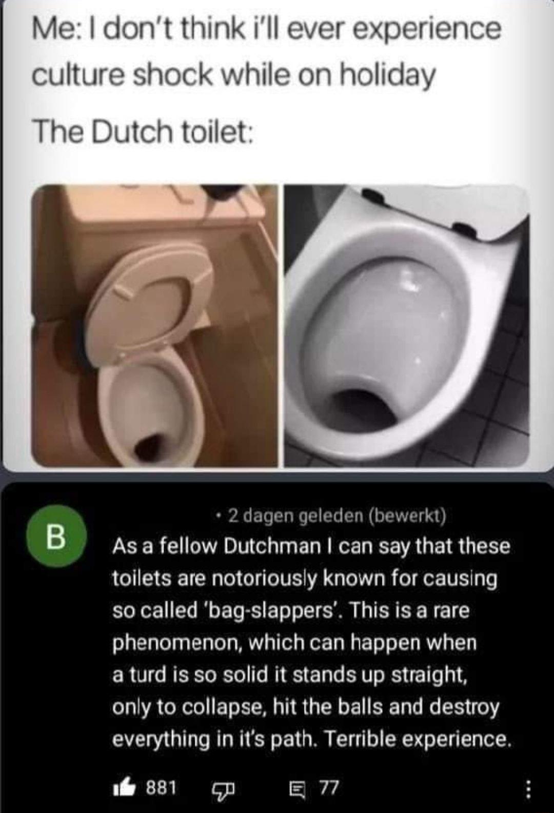 Me dont think ill ever experience culture shock while on holiday The Dutch toilet Y 2 dagen geleden bewerkt B As a fellow Dutchman can say that these toilets are notoriously known for causing so called bag slappers This is a rare phenomenon which can happen when RO NEETORTo fo NG ETale RV s RS 216018 o1 R Nl ETo RN N R TN ol T 1o le 2153 6 everything in its path Terrible experience i 881 op g 77