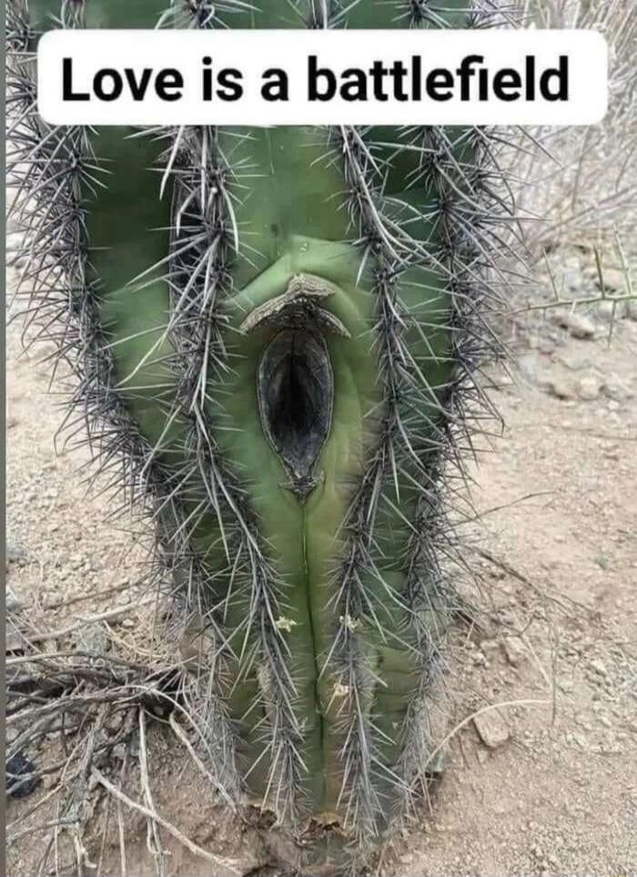 Love is a battlefield