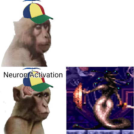 Neuron Activation
