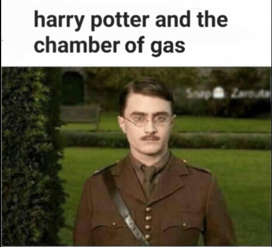 harry potter and the chamber of gas