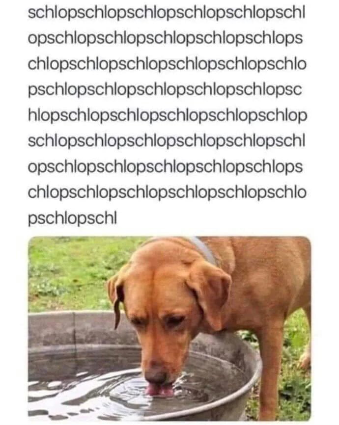 schlopschlopschlopschlopschlopschl opschlopschlopschlopschlopschlops chlopschlopschlopschlopschlopschlo pschlopschlopschlopschlopschlopsc hlopschlopschlopschlopschlopschlop schlopschlopschlopschlopschlopschl opschlopschlopschlopschlopschlops chlopschlopschlopschlopschlopschlo pschlopschl