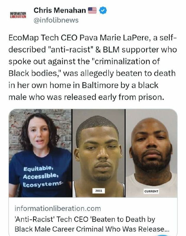 Chris Menahan SRR infolibnews EcoMap Tech CEO Pava Marie LaPere a self described anti racist BLM supporter who spoke out against the criminalization of Black bodies was allegedly beaten to death in her own home in Baltimore by a black male who was released early from prison informationliberationcom Anti Racist Tech CEO Beaten to Death by Black Male Career Criminal Who Was Release