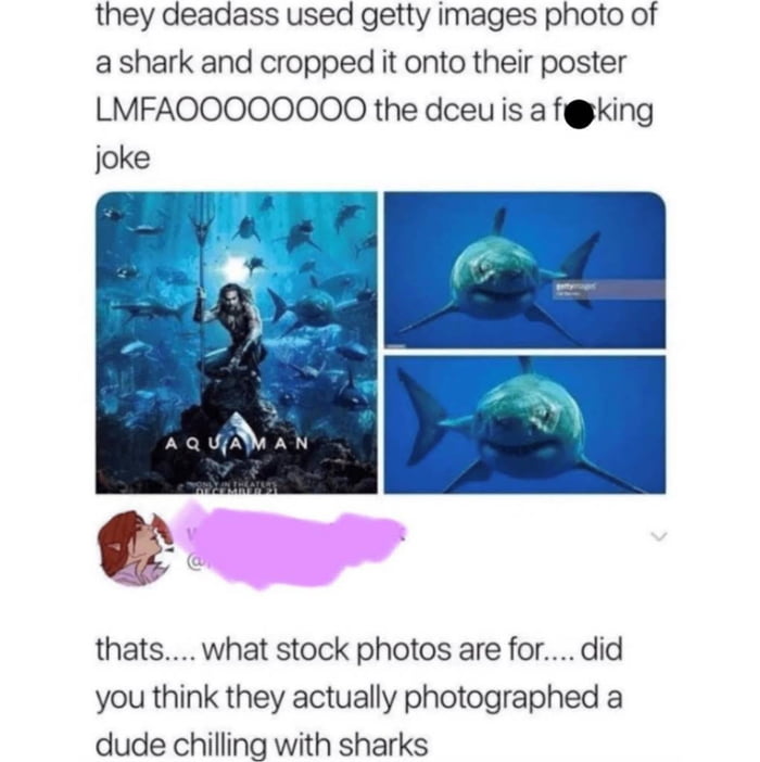 they deadass used getty images photo of ashark and cropped it onto their poster LMFAOOOOO0O0OO the dceuis a fgking joke thats what stock photos are for did you think they actually photographed a dude chilling with sharks