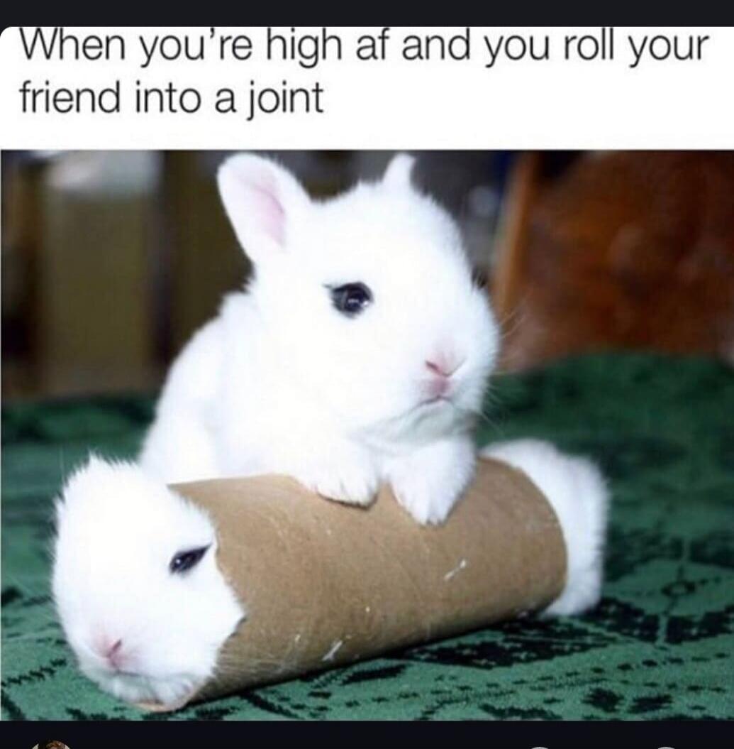 When you're high af and you roll your friend into a joint