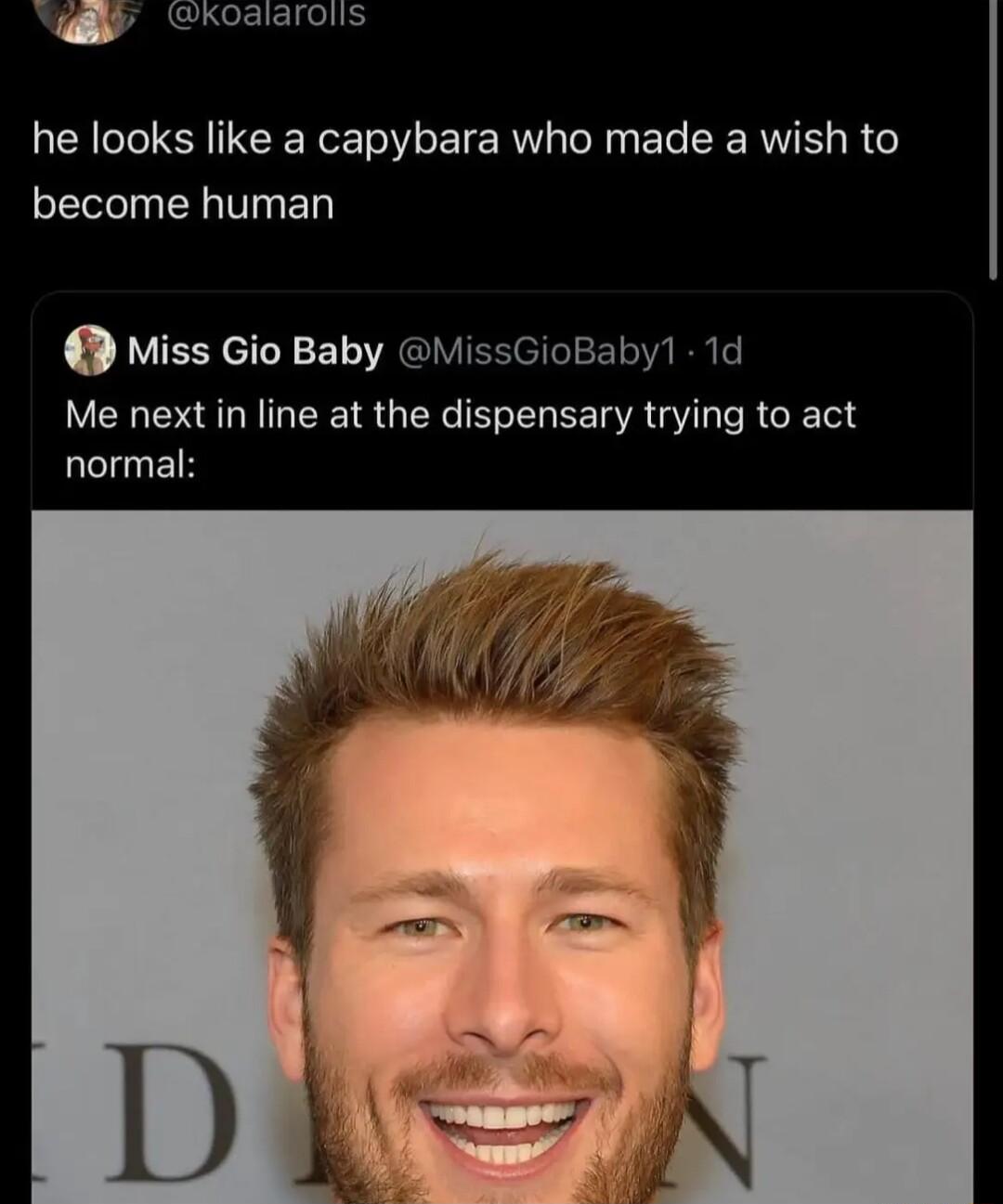 he looks like a capybara who made a wish to EN D Miss Gio Baby aby1 1d Me next in line at the dispensary trying to act normal