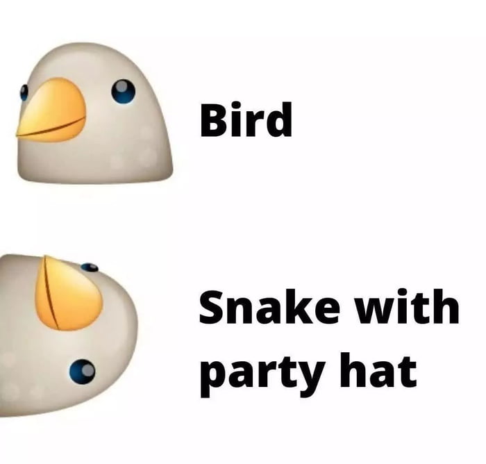 Bird 23 1 s party hat