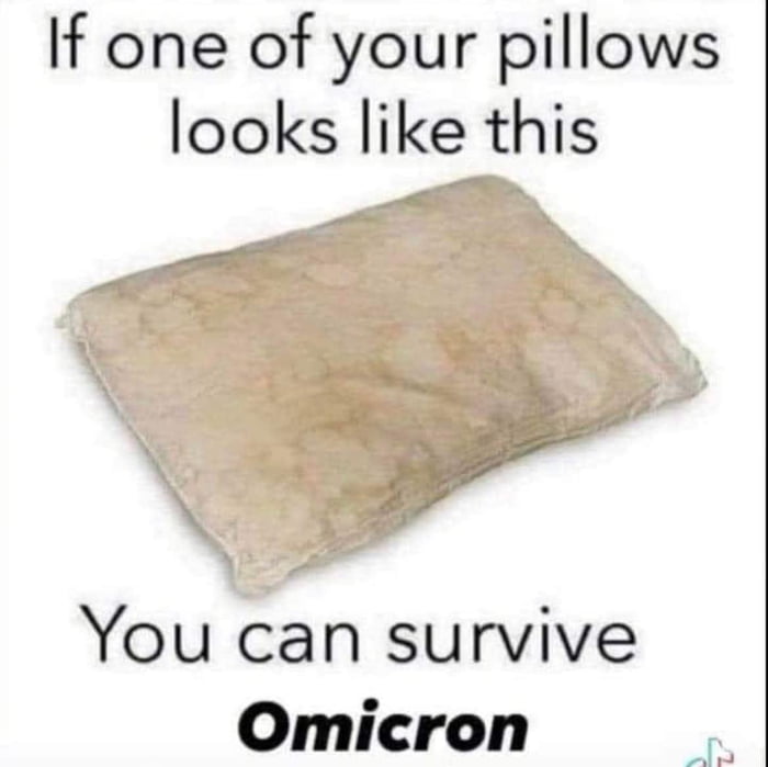 If one of your pillows looks like this You can survive Omicron