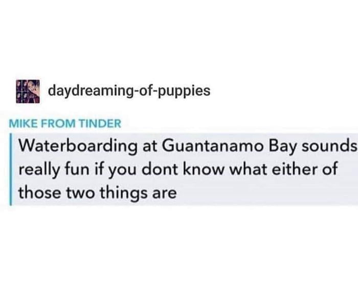 daydreaming of puppies MIKE FROM TINDER Waterboarding at Guantanamo Bay sounds really fun if you dont know what either of those two things are