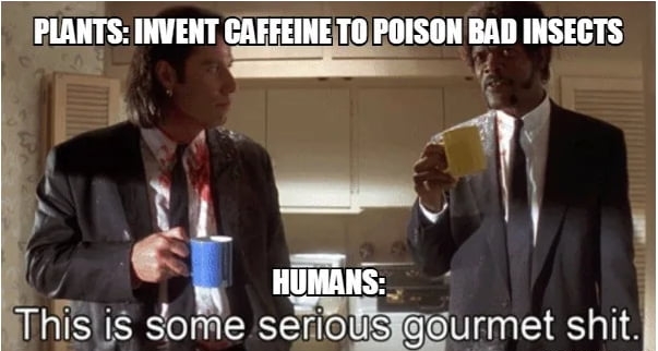 IIMIIS INVENT MFIEIIIETII POISON BAD INSECTS b l i 4 ae 3 r v Thls is some seTions gurmet shit s MEMEFULCOJ
