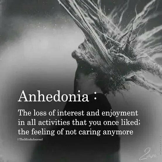 Anhedonia The loss of interest and enjoyment in all activities that you once liked the feeling of not caring anymore L Rre