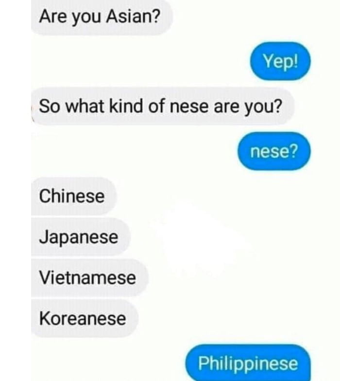 Are you Asian So what kind of nese are you Chinese Japanese Vietnamese Koreanese Philippinese