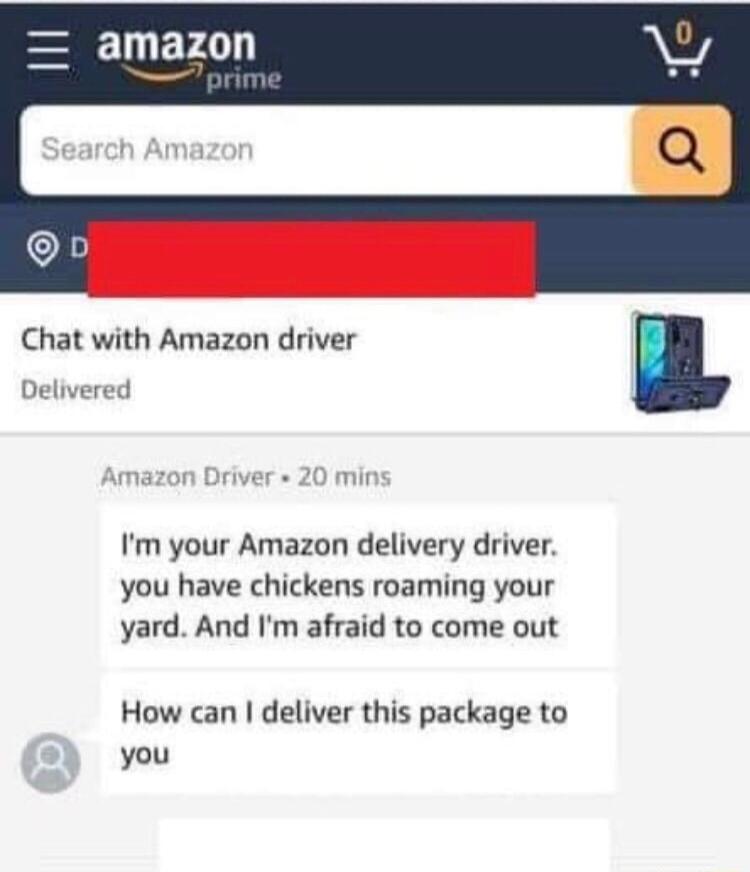 amazon Chat with Amazon driver l Im your Amazon delivery driver you have chickens roaming your yard And Im afraid to come out How can deliver this package to you