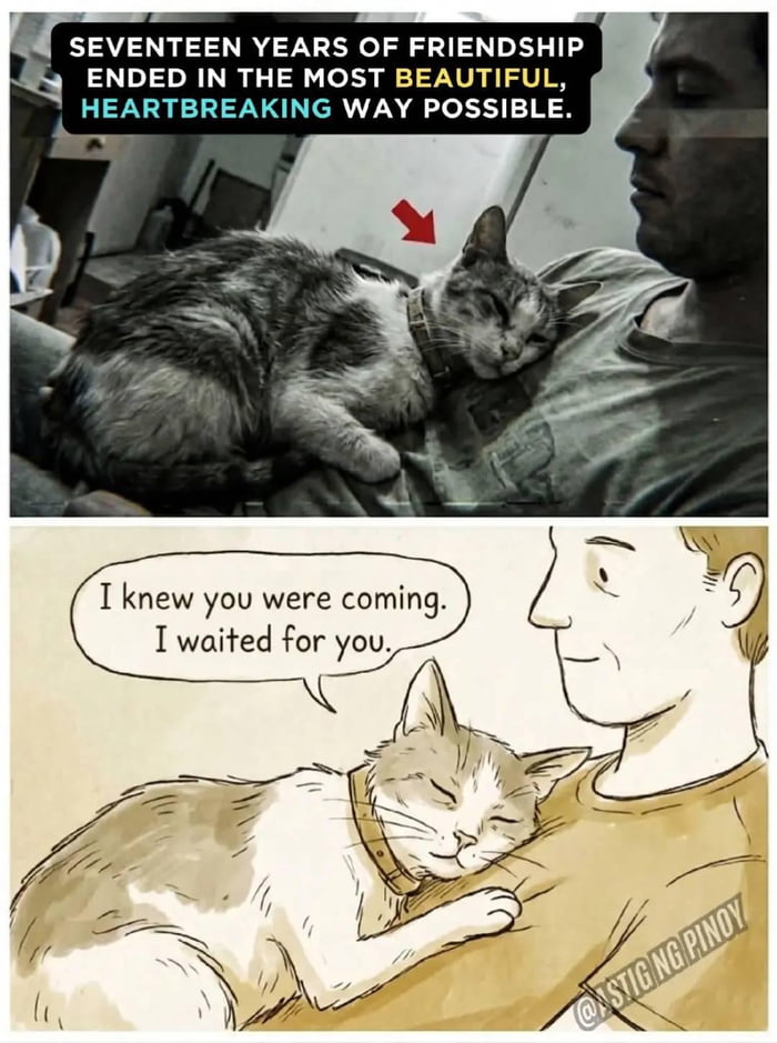 SEVENTEEN YEARS OF FRIENDSHIP ENDED IN THE MOST BEAUTIFUL, HEARTBREAKING WAY POSSIBLE. I knew you were coming. I waited for you.