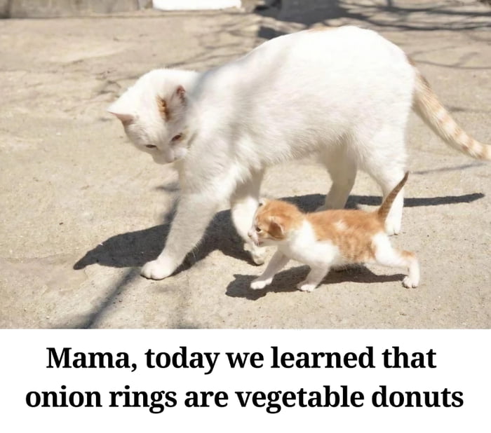 Mama, today we learned that onion rings are vegetable donuts