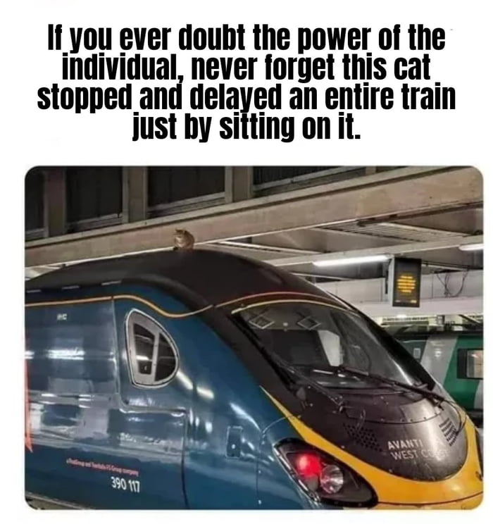 If you ever doubt the power of the individual, never forget this cat stopped and delayed an entire train just by sitting on it.