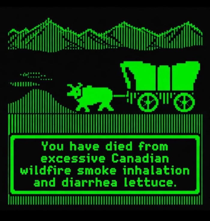 You have died from excessive Canadian wildfire smoke inhalation and diarrhea lettuce.