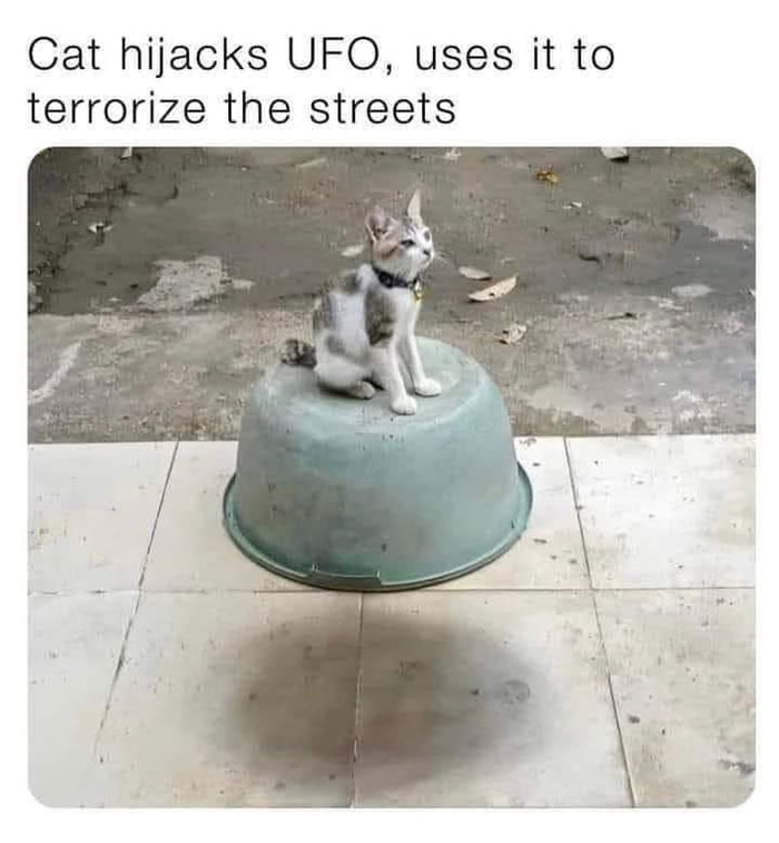 Cat hijacks UFO, uses it to terrorize the streets