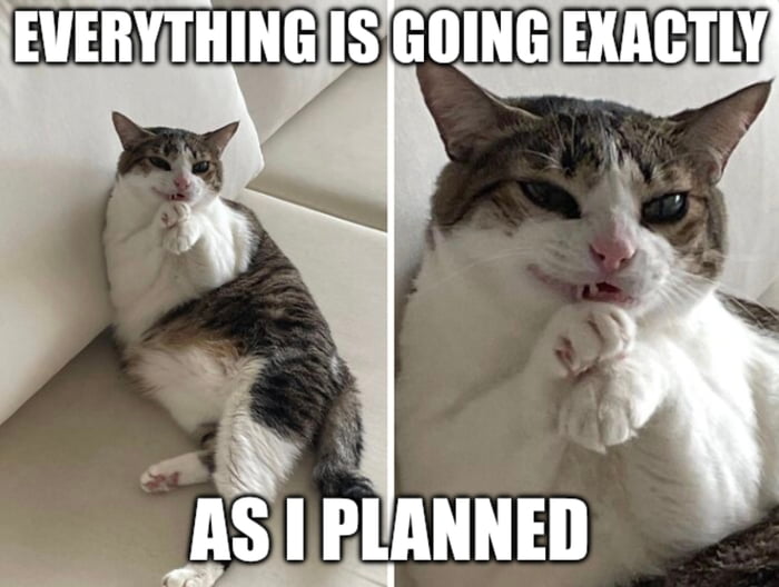 EVERYTHING IS GOING EXACTLY AS I PLANNED