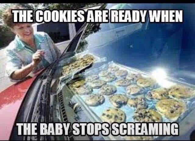 THE COOKIES AREREADY WHEN