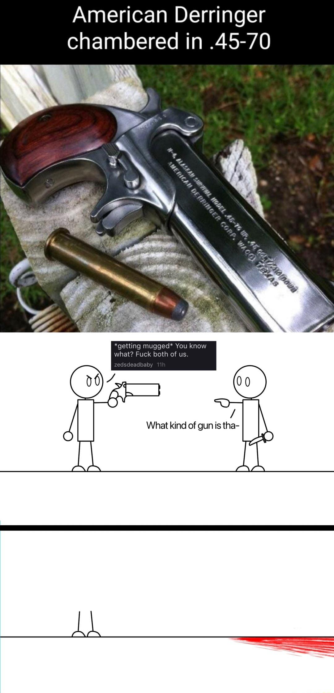 American Derringer chambered in 45 70 getting mugged You know what Fuck both of us