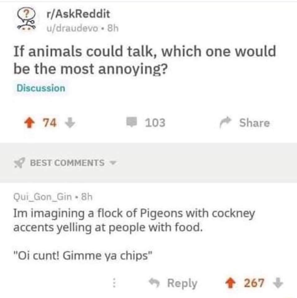 g rAskReddit udraudevo 8h If animals could talk which one would be the most annoying Discussion 4 783 103 Share W BEST COMMENTS Qui_Gon_Gin 8h Im imagining a flock of Pigeons with cockney accents yelling at people with food 0i cunt Gimme ya chips Reply 207