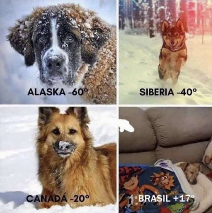 SIBERIA 40 JRAsu 1