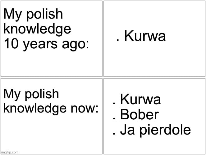 My polish knowledge 10 yearsago IS My polish Kurwa knowledge now Bober Ja pierdole