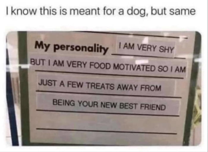 know this is meant for a dog but same