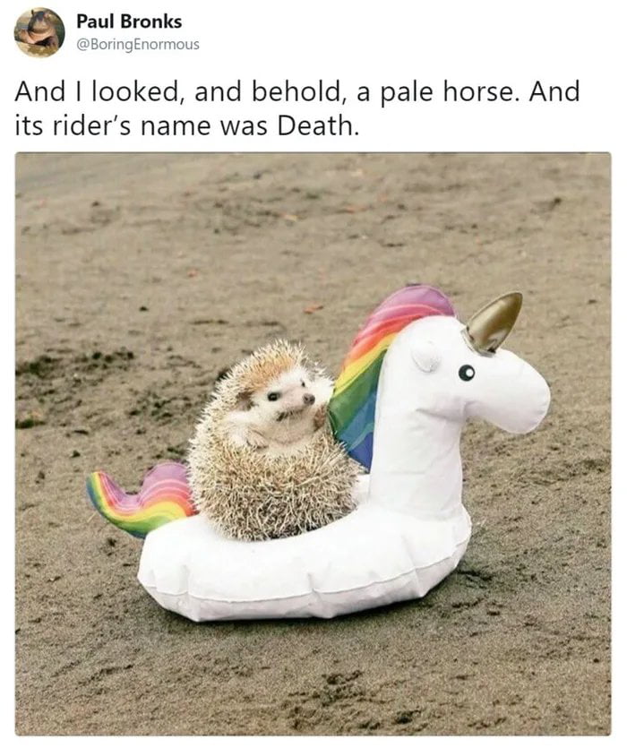 Paul Bronks Soring And looked and behold a pale horse And its riders name was Death