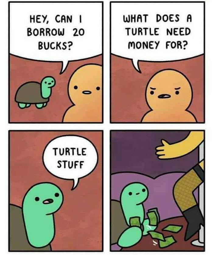 HEY CAN WHAT DOES A BORROW 20 TURTLE NEED BUCKS MONEY FOR