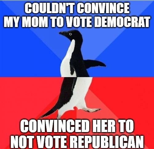 COULDNTT CONVINCE MY MOM TO VOTE DEMOCRAT J CONVINGED HER TO _NOT VOTE REPUBLICAN