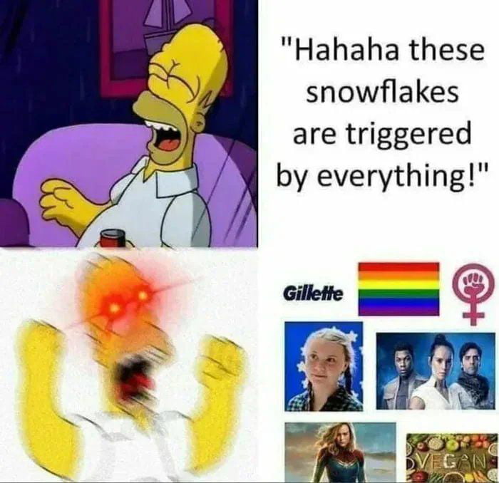 Hahaha these snowflakes are triggered by everything