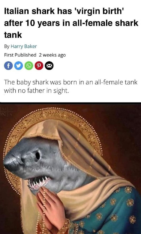 Italian shark has virgin birth after 10 years in all female shark tank By H First Published 2 weeks ago 600000 The baby shark was born in an all female tank with no father in sight