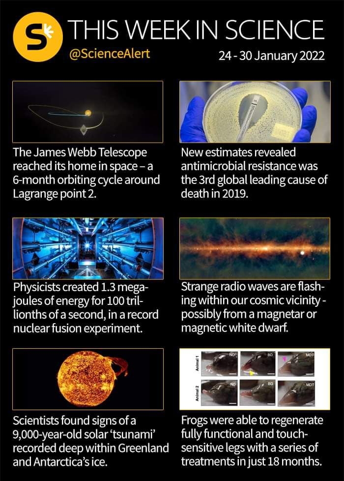 THIS WEEKIN SCIENCE ScienceAlert 24 30 January 2022 The James Webb Telescope New estimates revealed reached itshomeinspace a antimicrobial resistance was 6 monthorbitingcyclearound the 3rd global leading cause of Lagrange point 2 deathin 2019 Strange radio waves are flash joules of energy for 100tril ingwithin our cosmicvicinity lionths ofa second inarecord possibly from a magnetar or nuclear fusi