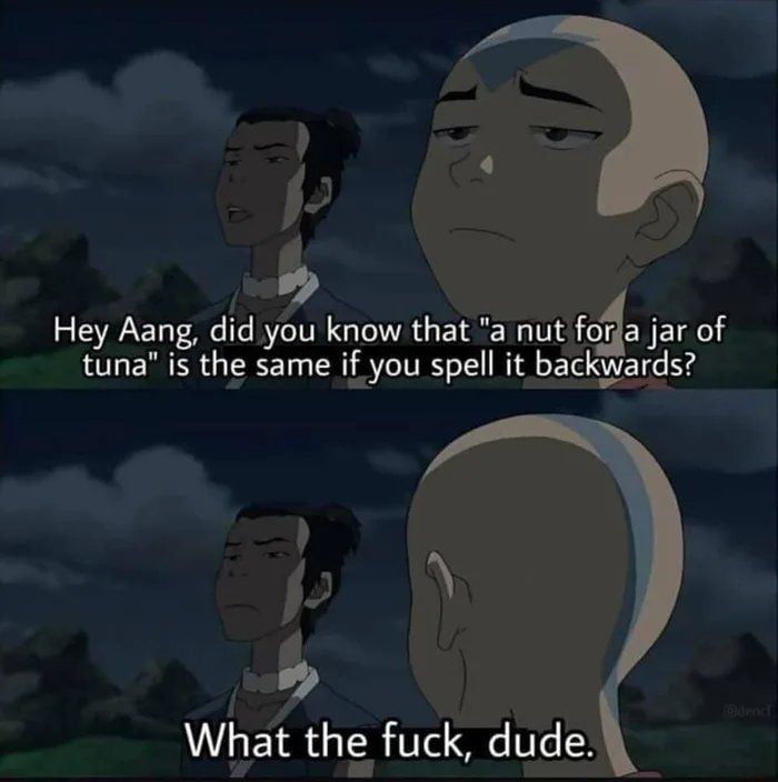 Hey Aang did you know that a nut faa JEL tuna is the same if you spell it backwards What the fuck dude