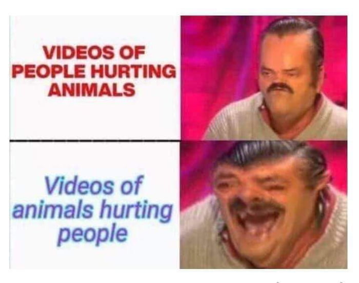 VIDEOS OF PEOPLE HURTING ANIMALS