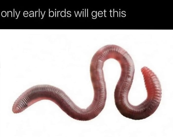 only early birds will get this