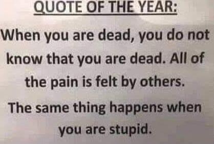 QUOTE OF THE YEAR: When you are dead, you do not know that you are dead. All of the pain is felt by others. The same thing happens when you are stupid.