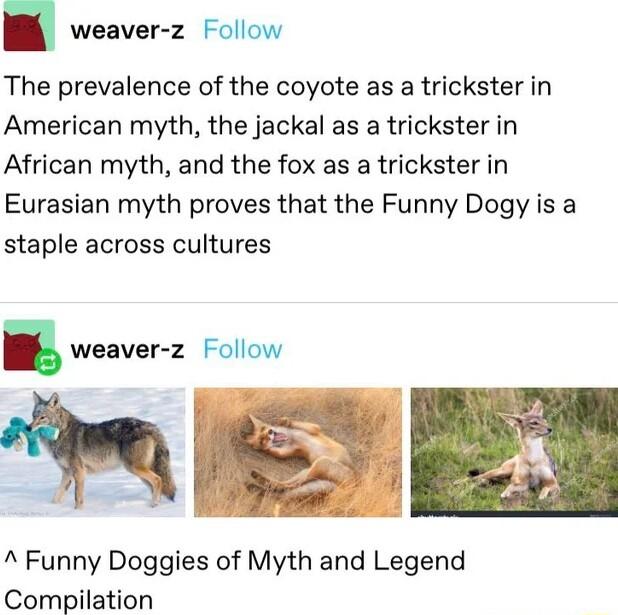 weaver z Follow The prevalence of the coyote as a trickster in American myth the jackal as a trickster in African myth and the fox as a trickster in Eurasian myth proves that the Funny Dogy is a staple across cultures weaver z Follow A Funny Doggies of Myth and Legend Compilation