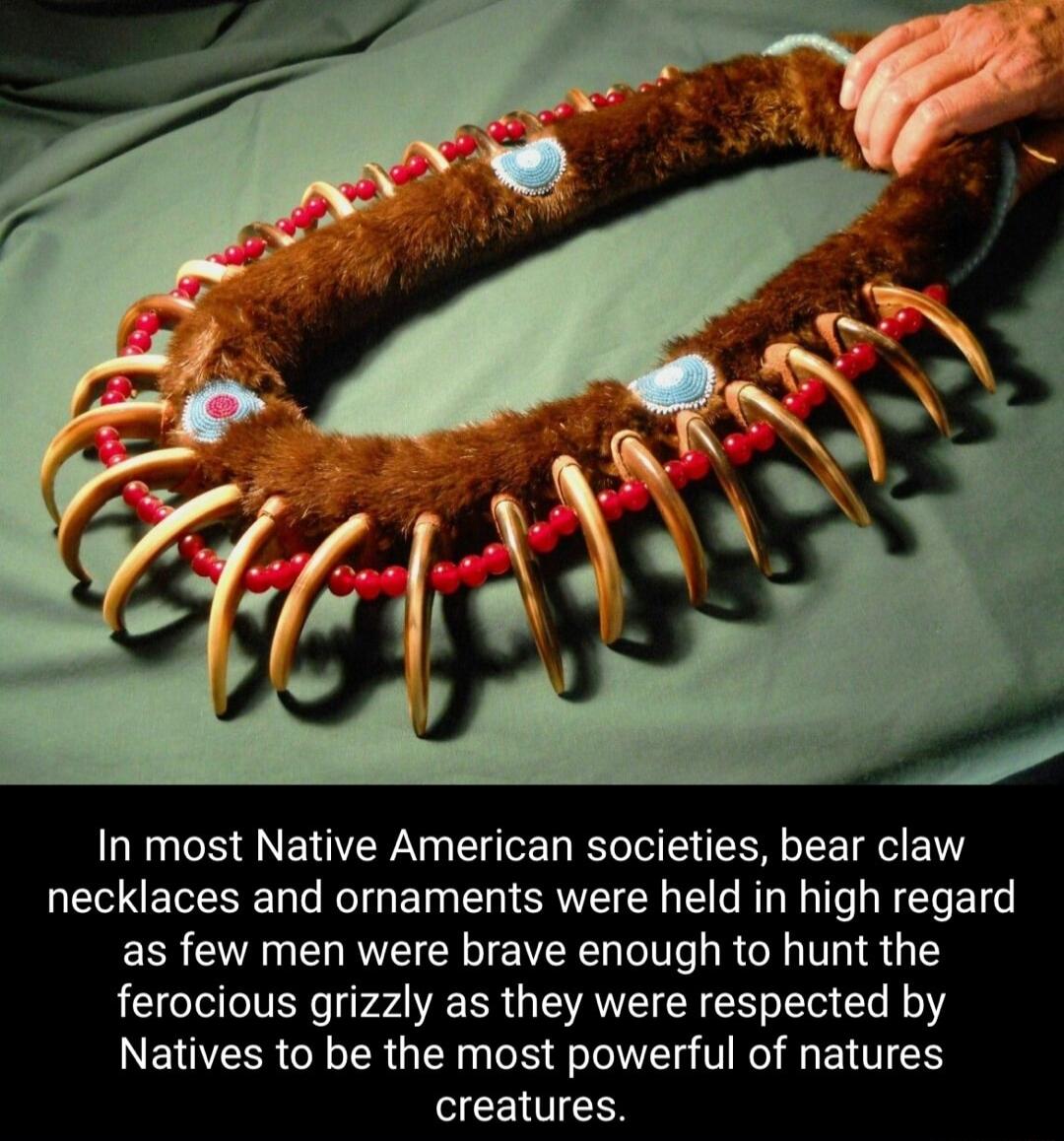 In most Native American societies bear claw necklaces and ornaments were held in high regard as few men were brave enough to hunt the ferocious grizzly as they were respected by Natives to be the most powerful of natures creatures