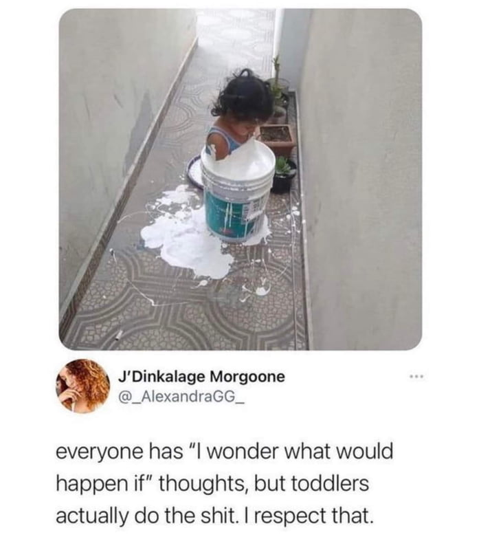 Dinkalage Morgoone _AlexandraGG_ everyone has l wonder what would happen if thoughts but toddlers actually do the shit respect that