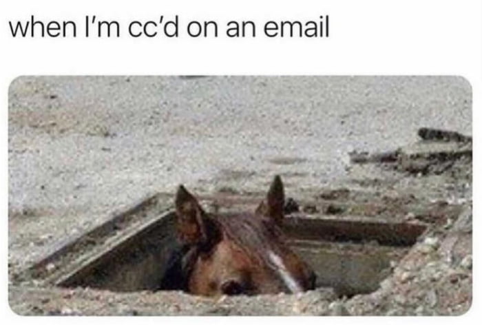 when I’m cc’d on an email