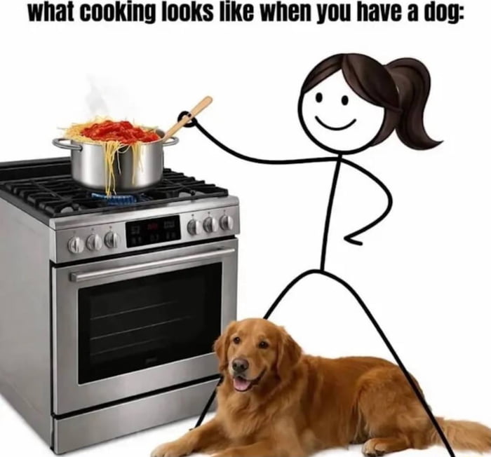 what cooking looks like when you have a dog: