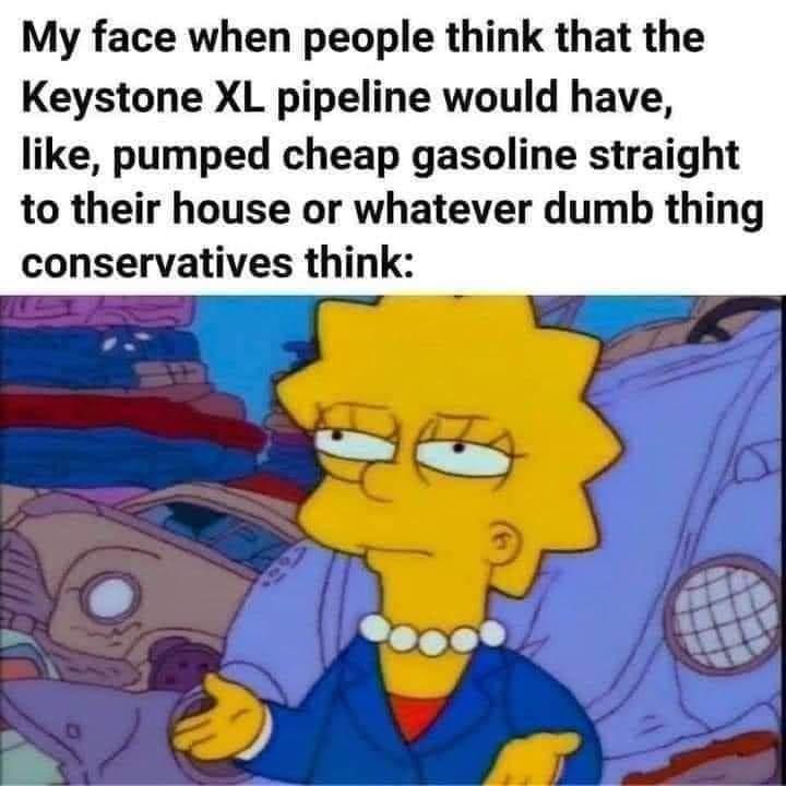 My face when people think that the Keystone XL pipeline would have like pumped cheap gasoline straight to their house or whatever dumb thing conservatives think e I