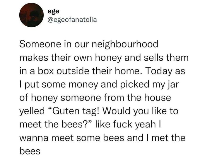 ege egeofanatolia Someone in our neighbourhood makes their own honey and sells them in a box outside their home Today as put some money and picked my jar of honey someone from the house yelled Guten tag Would you like to meet the bees like fuck yeah wanna meet some bees and met the bees