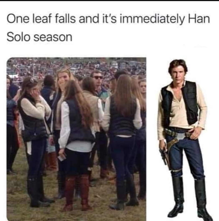 One leaf falls and its immediately Han Solo season